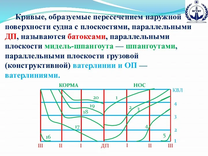 Кривые, образуемые пересечением наружной поверхности судна с плоскостями, параллельными ДП, называются