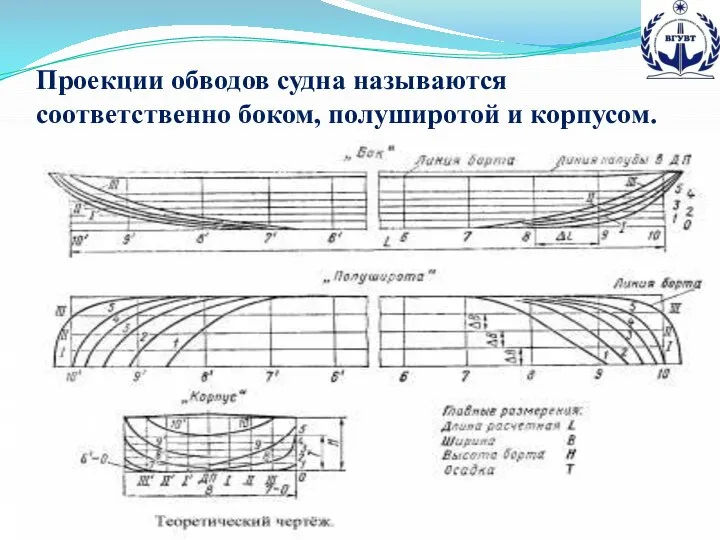 Проекции обводов судна называются соответственно боком, полуширотой и корпусом.