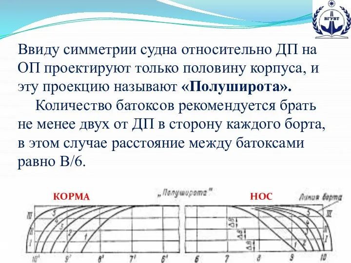 Ввиду симметрии судна относительно ДП на ОП проектируют только половину корпуса,