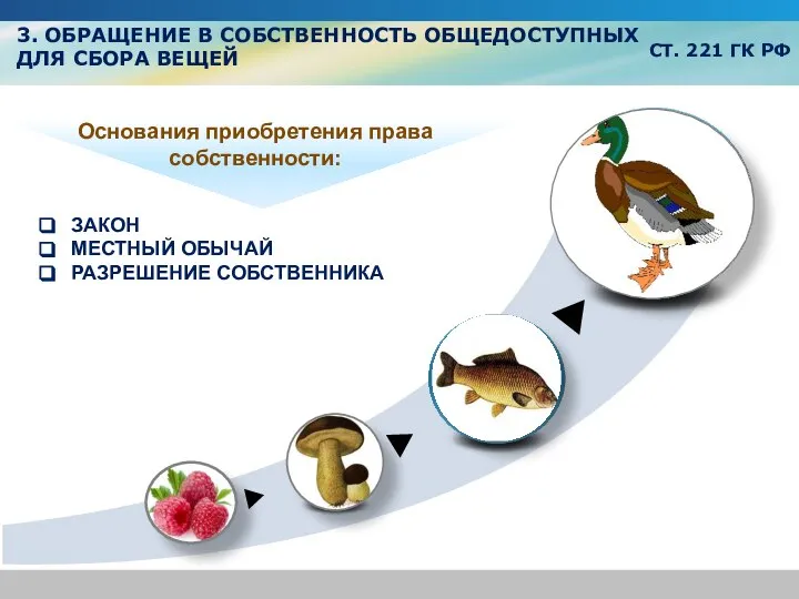 Text Text Text Text Основания приобретения права собственности: ЗАКОН МЕСТНЫЙ ОБЫЧАЙ