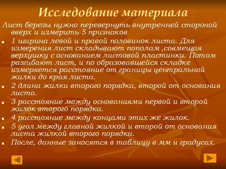 Исследование материала Лист березы нужно перевернуть внутренней стороной вверх и измерить