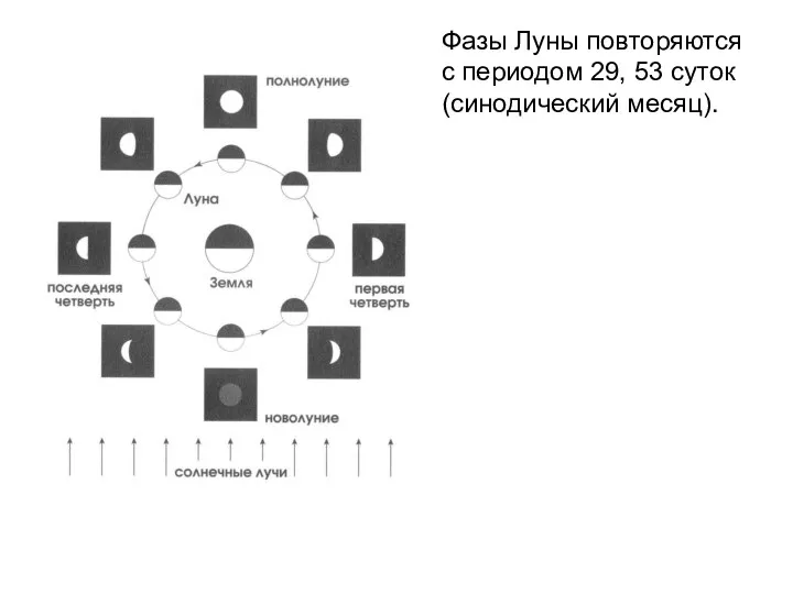 Фазы Луны повторяются с периодом 29, 53 суток (синодический месяц).