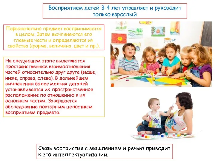 Восприятием детей 3-4 лет управляет и руководит только взрослый Первоначально предмет