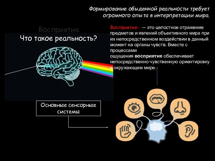 Что такое реальность? Формирование обыденной реальности требует огромного опыта в интерпретации