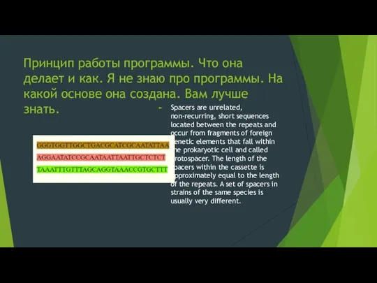 Принцип работы программы. Что она делает и как. Я не знаю