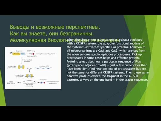 Выводы и возможные перспективы. Как вы знаете, они безграничны. Молекулярная биологи,