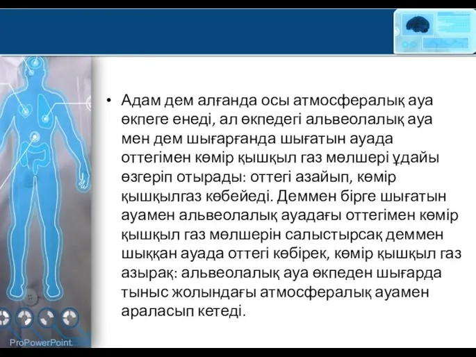 Адам дем алғанда осы атмосфералық ауа өкпеге енеді, ал өкпедегі альвеолалық