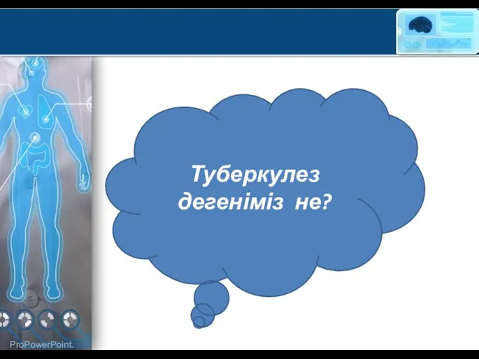 Туберкулез дегеніміз не?