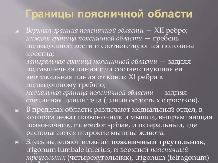 Границы поясничной области Верхняя граница поясничной области — XII ребро; нижняя