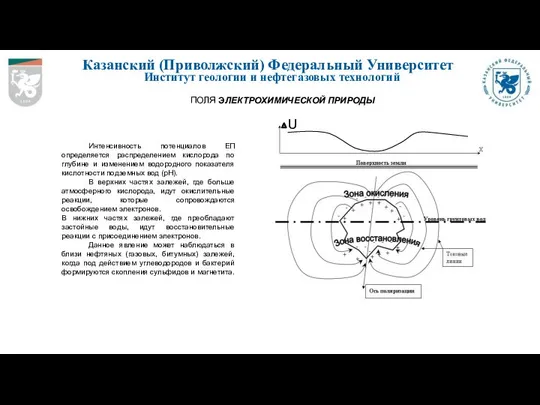 Казанский (Приволжский) Федеральный Университет Институт геологии и нефтегазовых технологий ПОЛЯ ЭЛЕКТРОХИМИЧЕСКОЙ