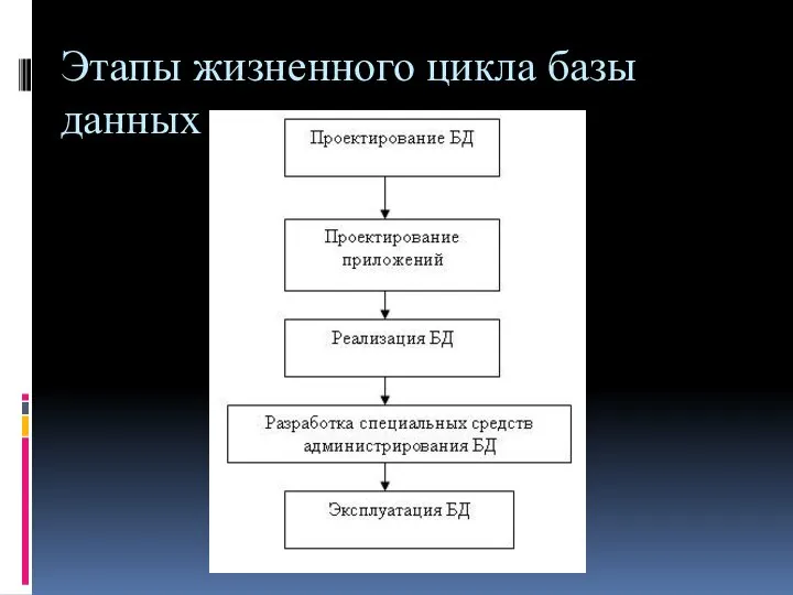 Этапы жизненного цикла базы данных