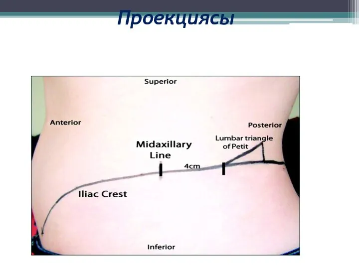 Проекциясы