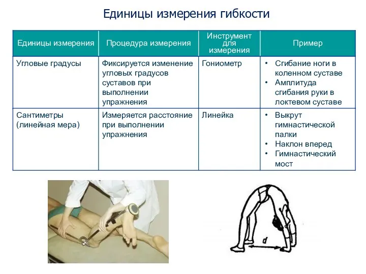 Единицы измерения гибкости