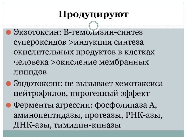 Продуцируют Экзотоксин: В-гемолизин-синтез супероксидов >индукция синтеза окислительных продуктов в клетках человека