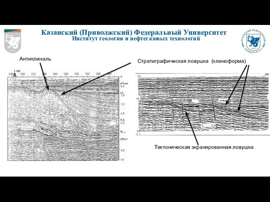 Казанский (Приволжский) Федеральный Университет Институт геологии и нефтегазовых технологий Антиклиналь Стратиграфическая ловушка (клиноформа) Тектоническая экранированная ловушка