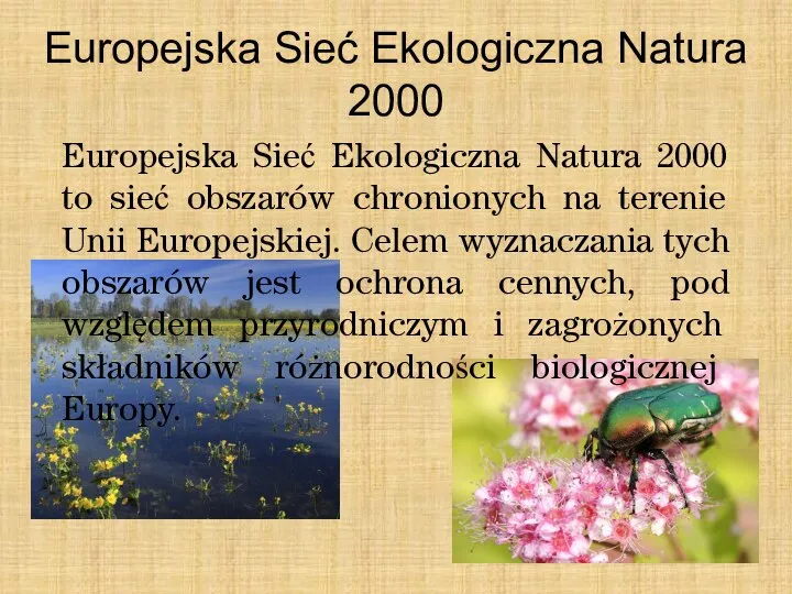 Europejska Sieć Ekologiczna Natura 2000 Europejska Sieć Ekologiczna Natura 2000 to