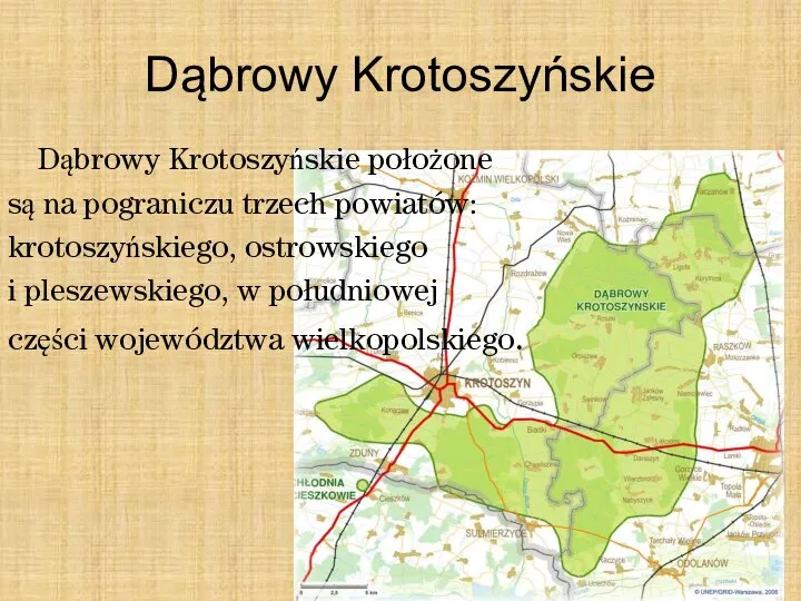 Dąbrowy Krotoszyńskie Dąbrowy Krotoszyńskie położone są na pograniczu trzech powiatów: krotoszyńskiego,