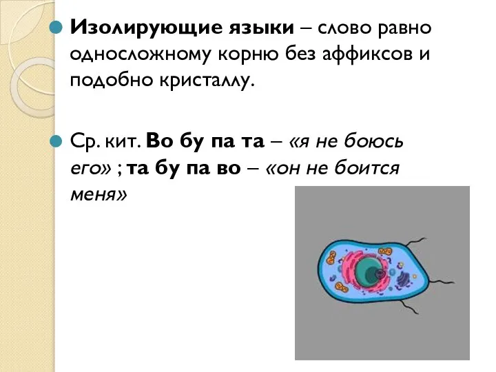 Изолирующие языки – слово равно односложному корню без аффиксов и подобно