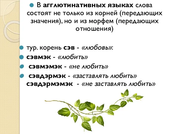 В агглютинативных языках слова состоят не только из корней (передающих значения),