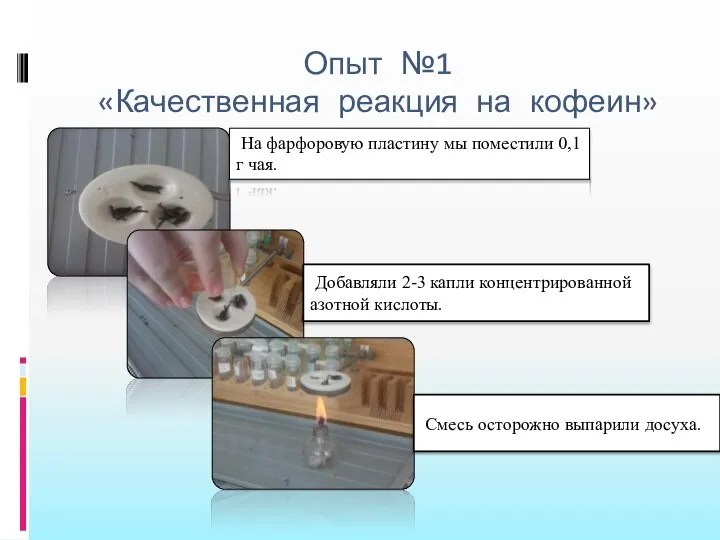 Опыт №1 «Качественная реакция на кофеин» На фарфоровую пластину мы поместили