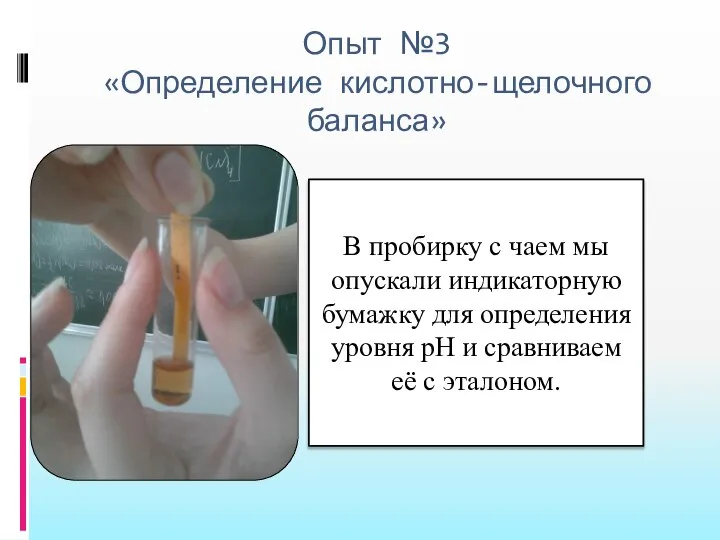 Опыт №3 «Определение кислотно-щелочного баланса» В пробирку с чаем мы опускали