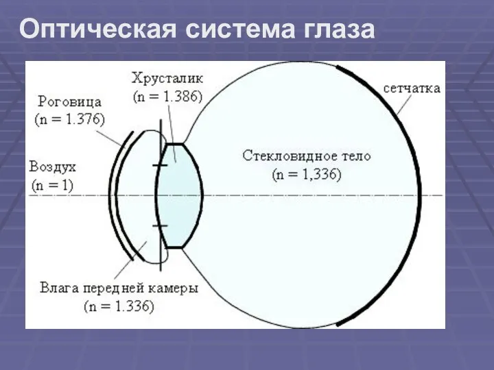 Оптическая система глаза