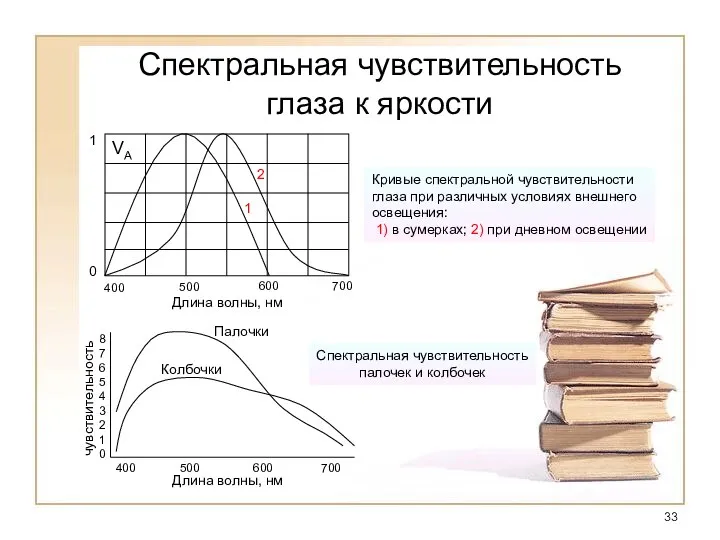 Спектральная чувствительность глаза к яркости Кривые спектральной чувствительности глаза при различных