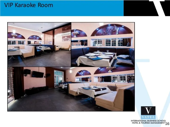 16 VIP Karaoke Room