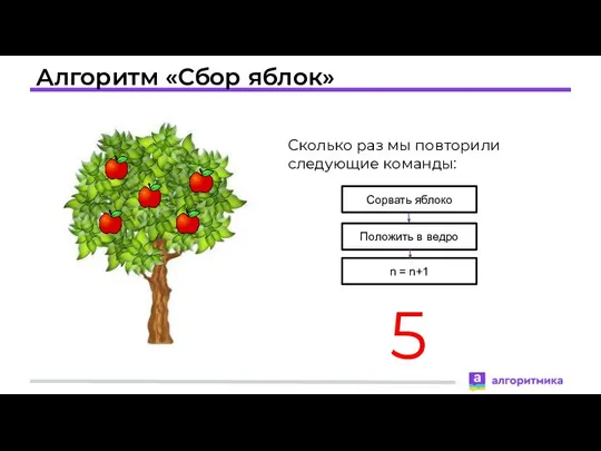 Алгоритм «Сбор яблок» Сколько раз мы повторили следующие команды: 5