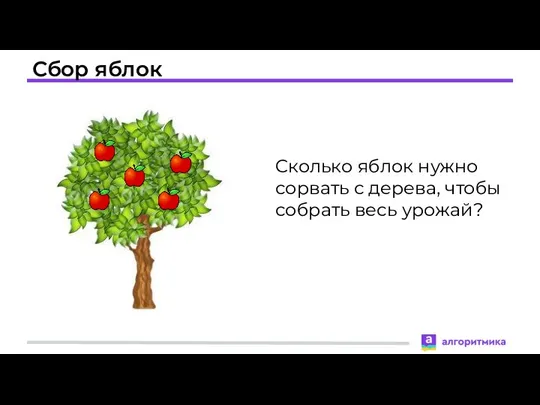 Сбор яблок Сколько яблок нужно сорвать с дерева, чтобы собрать весь урожай?