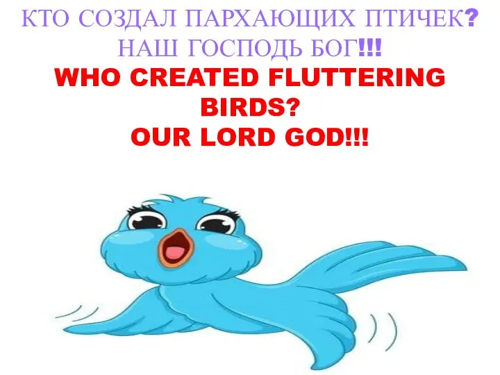 КТО СОЗДАЛ ПАРХАЮЩИХ ПТИЧЕК? НАШ ГОСПОДЬ БОГ!!! WHO CREATED FLUTTERING BIRDS? OUR LORD GOD!!!