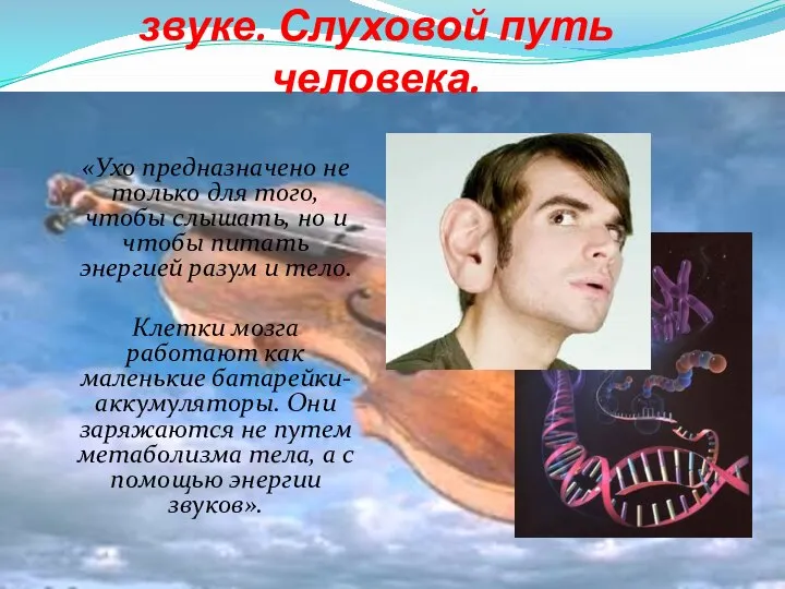 Общее представление о звуке. Слуховой путь человека. «Ухо предназначено не только