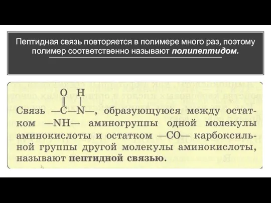 Пептидная связь повторяется в полимере много раз, поэтому полимер соответственно называют полипепти­дом.