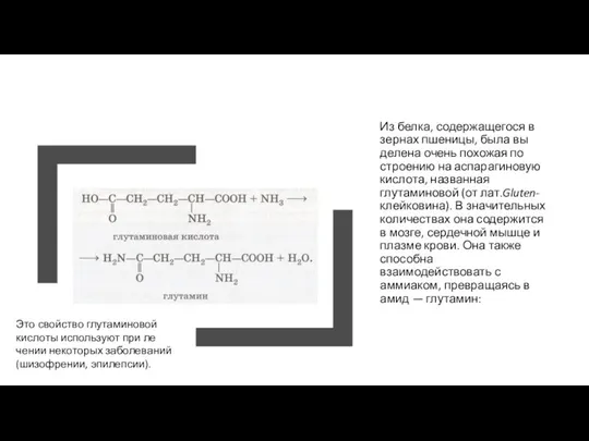 Из белка, содержащегося в зернах пшеницы, была вы­делена очень похожая по