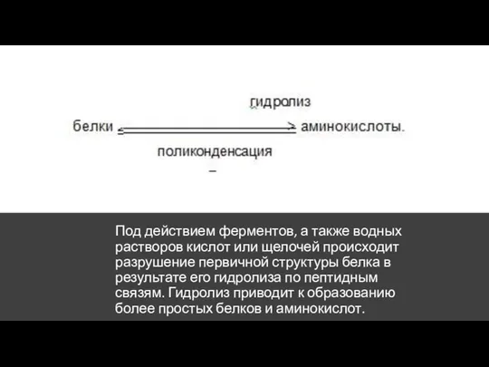 Под действием ферментов, а также водных растворов кислот или щелочей происходит