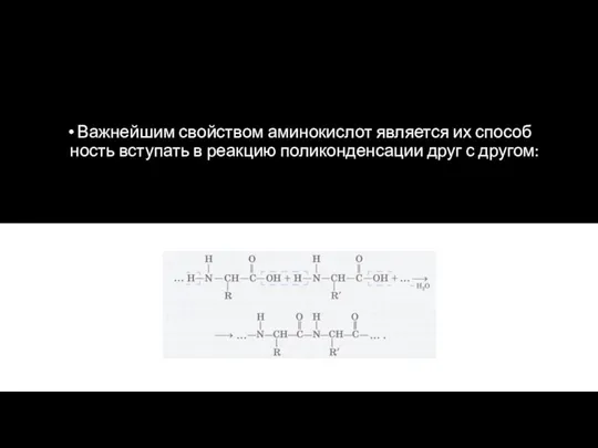 Важнейшим свойством аминокислот является их способ­ность вступать в реакцию поликонденсации друг с другом: