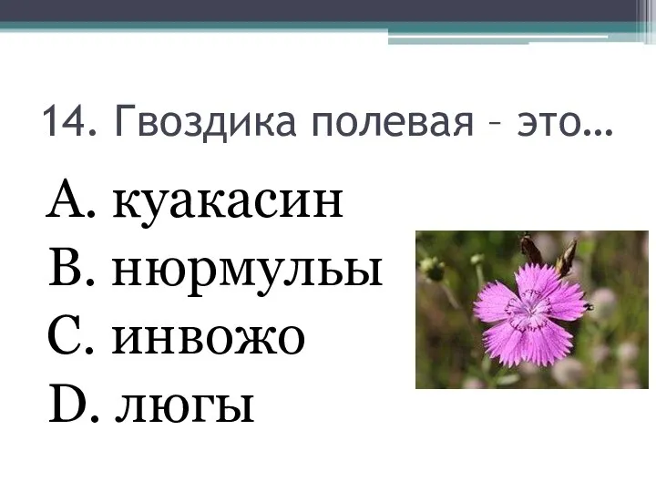 14. Гвоздика полевая – это… А. куакасин В. нюрмульы С. инвожо D. люгы