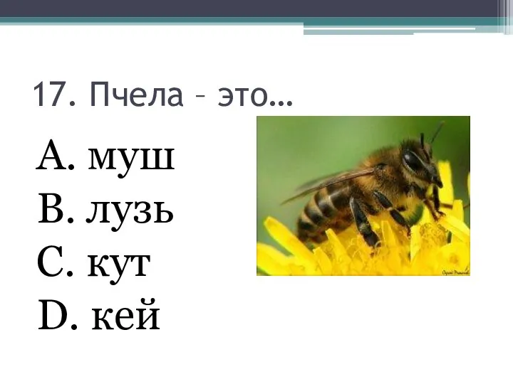 17. Пчела – это… А. муш В. лузь С. кут D. кей