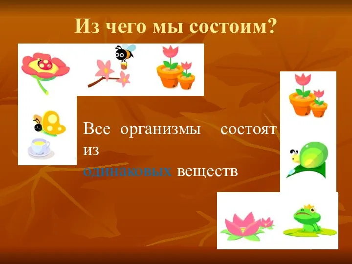 Из чего мы состоим? Все организмы состоят из одинаковых веществ