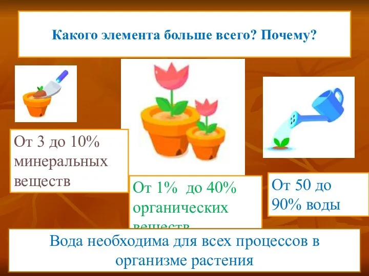 Какого элемента больше всего? Почему? От 3 до 10% минеральных веществ