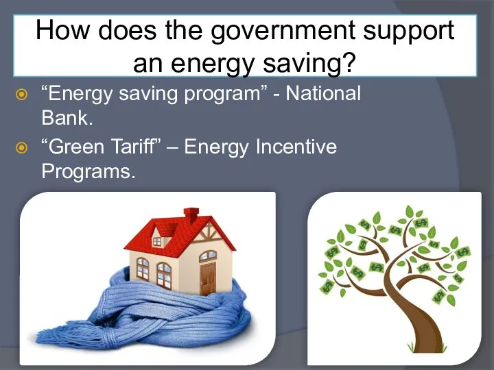 How does the government support an energy saving? “Energy saving program”