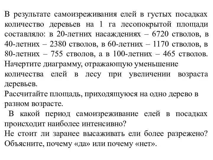 В результате самоизреживания елей в густых посадках количество деревьев на 1