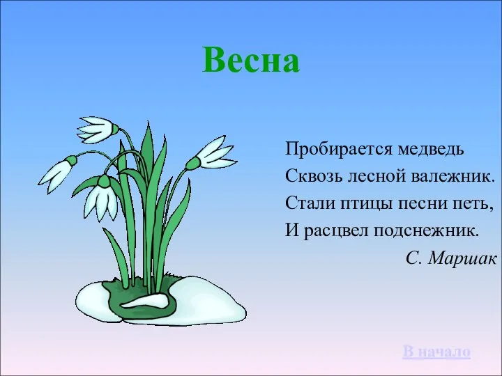 Весна Пробирается медведь Сквозь лесной валежник. Стали птицы песни петь, И