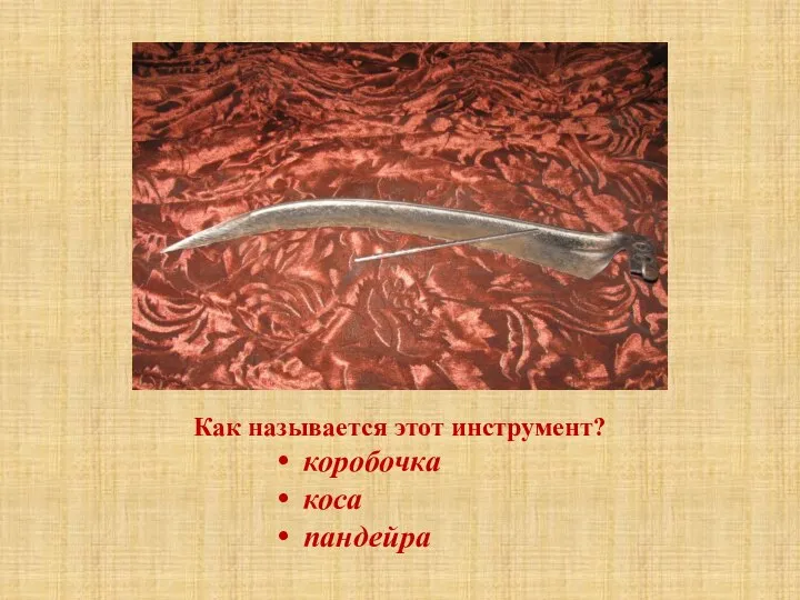 Как называется этот инструмент? коробочка коса пандейра