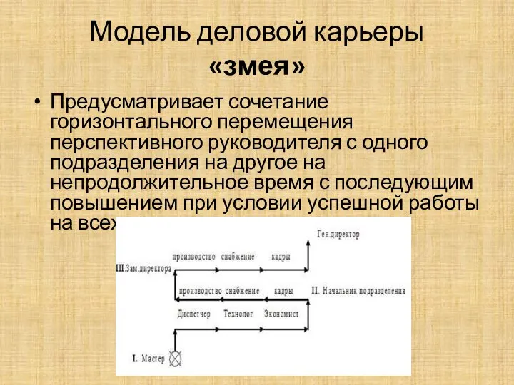 Модель деловой карьеры «змея» Предусматривает сочетание горизонтального перемещения перспективного руководителя с