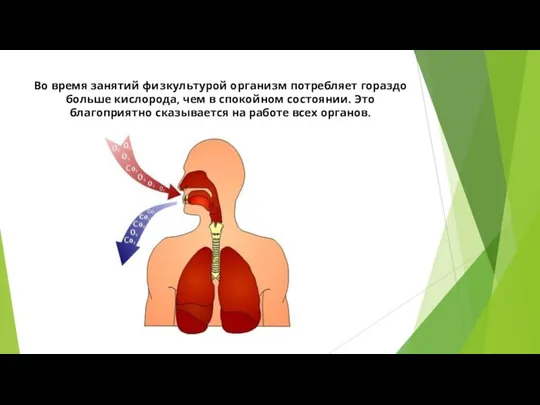 Во время занятий физкультурой организм потребляет гораздо больше кислорода, чем в