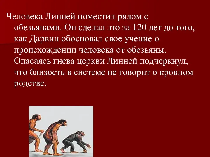 Человека Линней поместил рядом с обезьянами. Он сделал это за 120