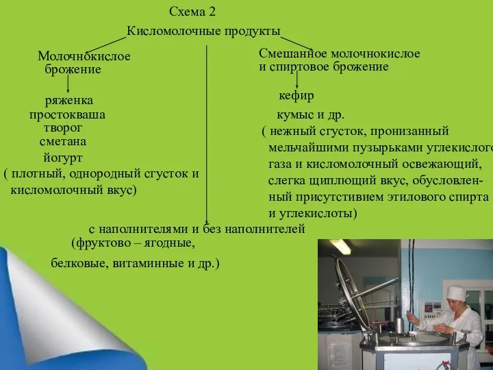 Схема 2 Кисломолочные продукты Молочнокислое брожение ряженка простокваша творог сметана йогурт