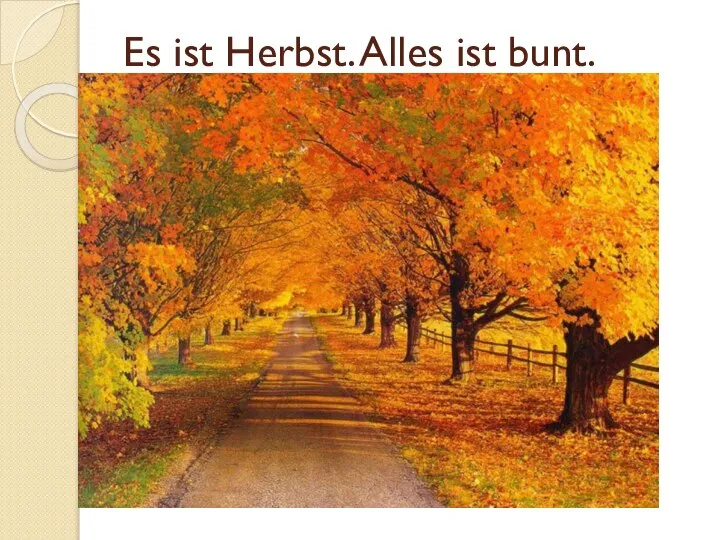 Es ist Herbst. Alles ist bunt.