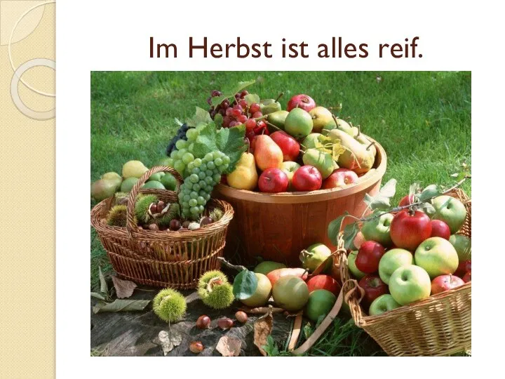 Im Herbst ist alles reif.